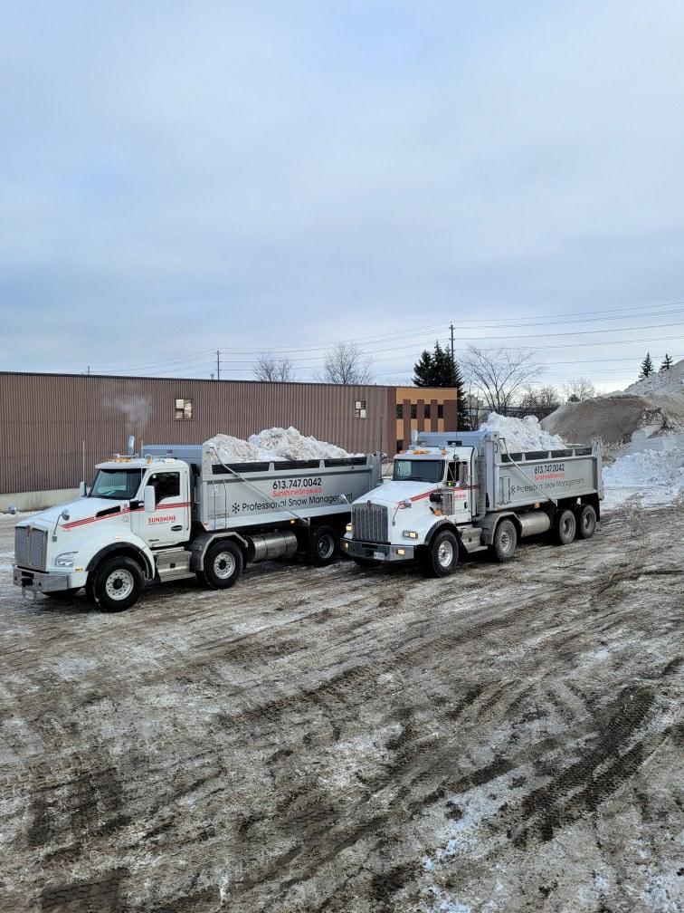 dump Trucks